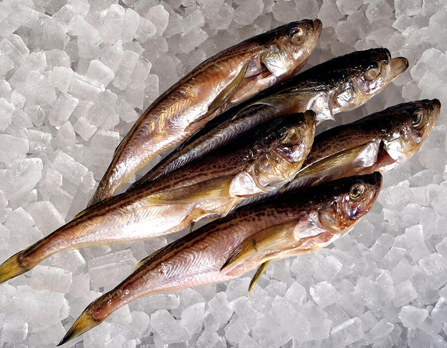 特選干物
